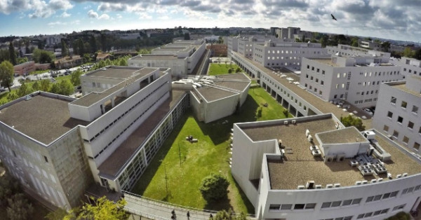 transferir-630x330-1-600x314-1